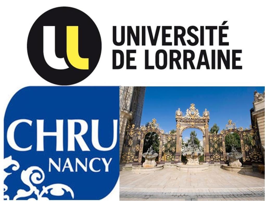 Nancyroom Vandoeuvre-les-Nancy Bagian luar foto